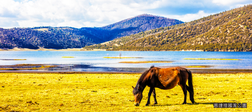 普達措國家公園